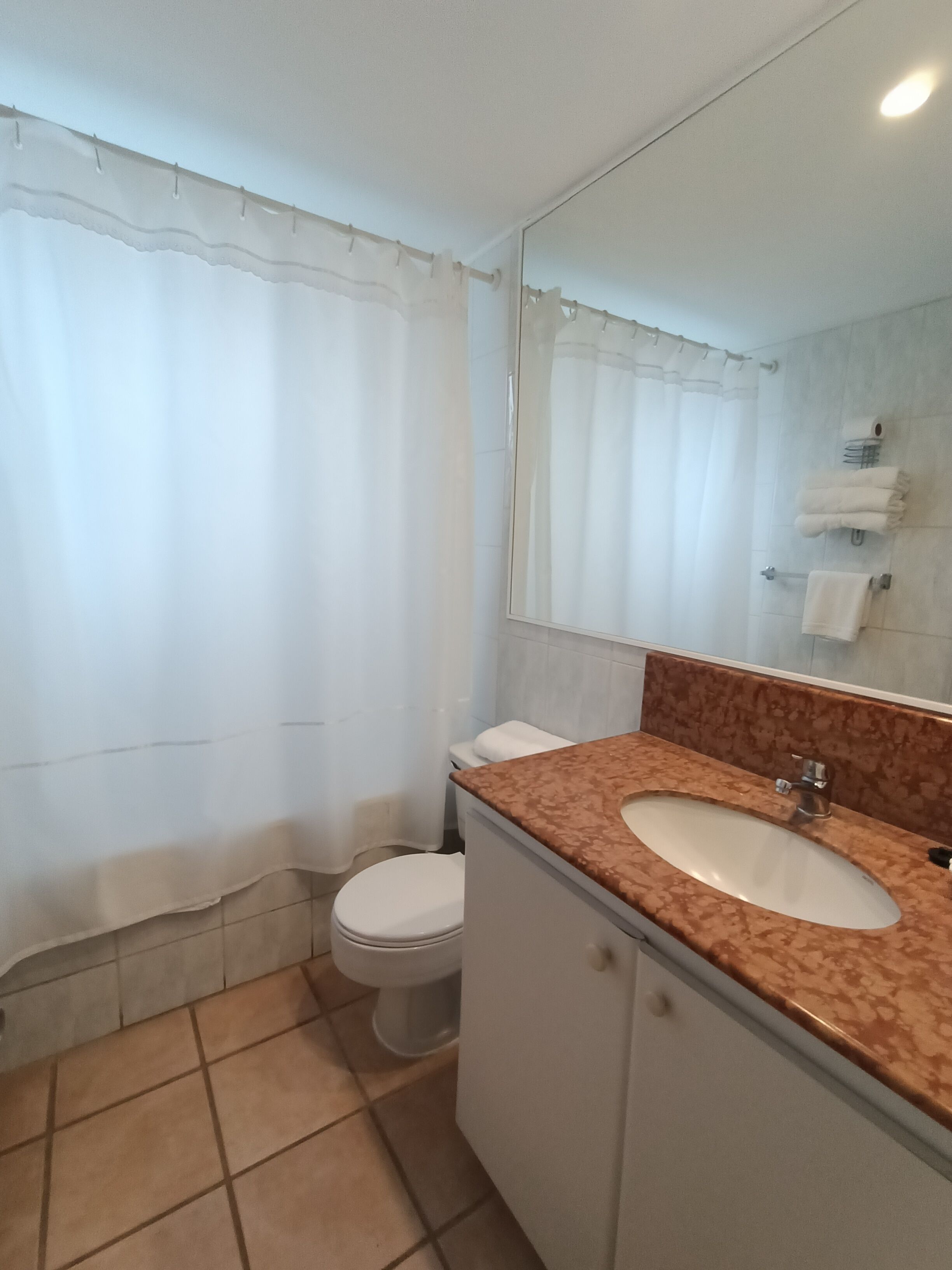 Un baño con inodoro blanco, lavamanos con encimera de mármol y un espejo grande.