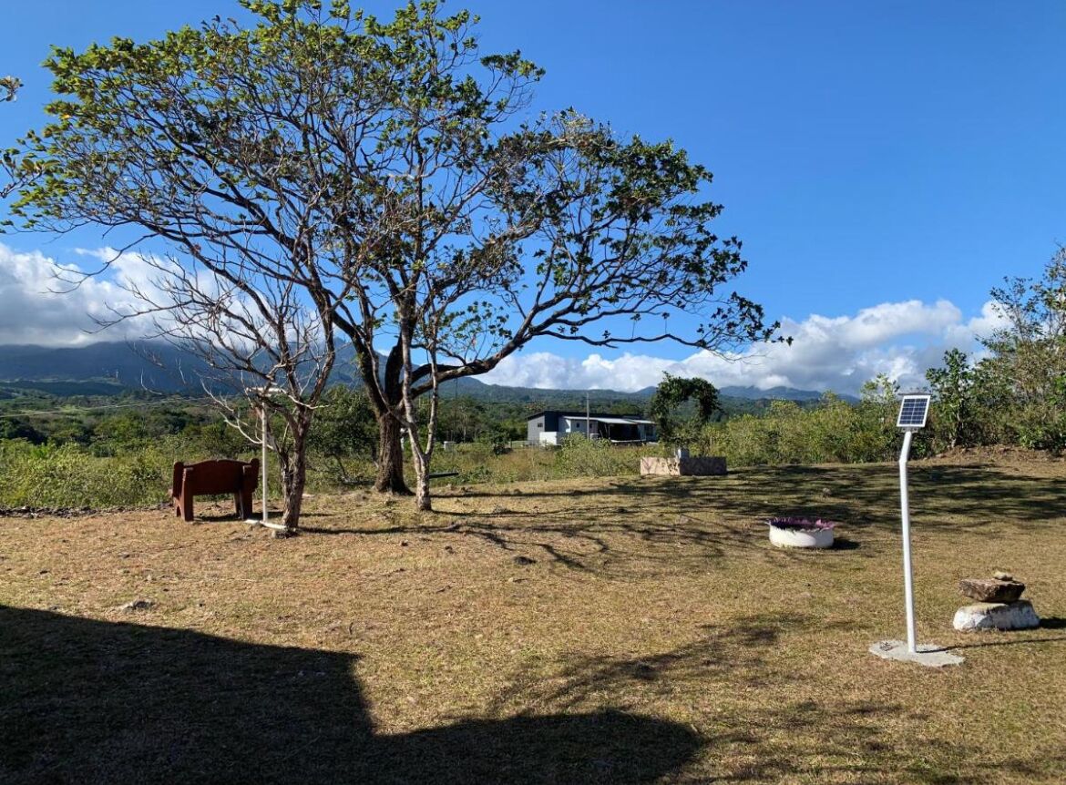 A grassy area with a tree, a bench, and a solar-powered sign post.
