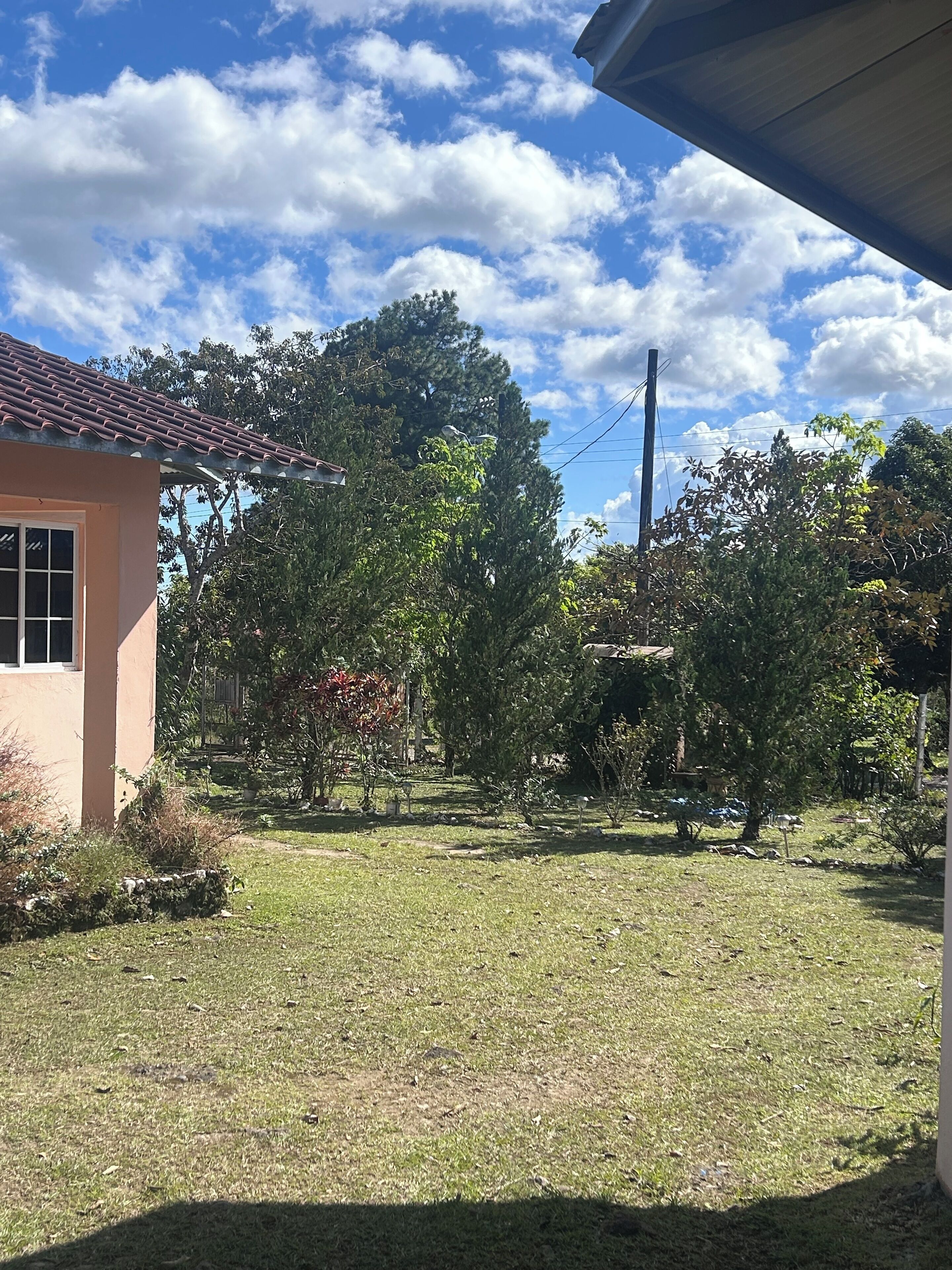 Un quartier résidentiel avec une maison, une pelouse et des arbres.