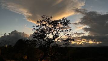 A tree silhouetted against a sunset sky with clouds.