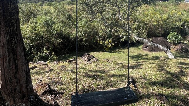 Una hamaca colgando de un árbol en un área con césped, con vistas a una montaña y nubes al fondo.