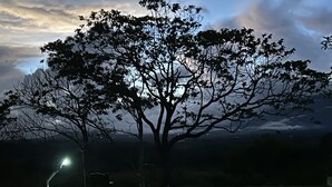 Una mesa y sillas en un área verde, con un árbol y un farol al fondo.