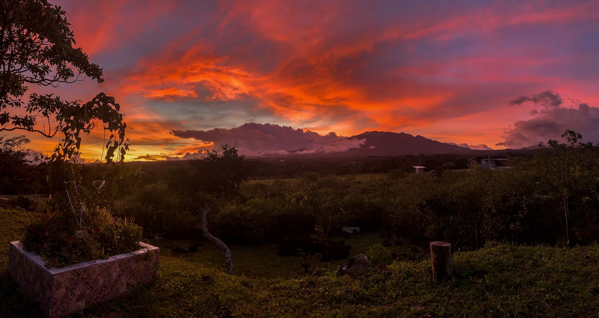 A landscape with a sunset, trees, and a stone planter.