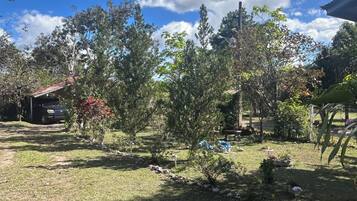 Un jardín con varios árboles y un sendero.