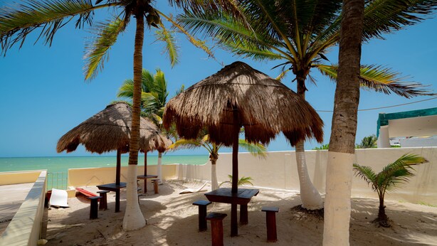 Ein Strandabschnitt mit Reetdachschirmen, Holztischen und Bänken.