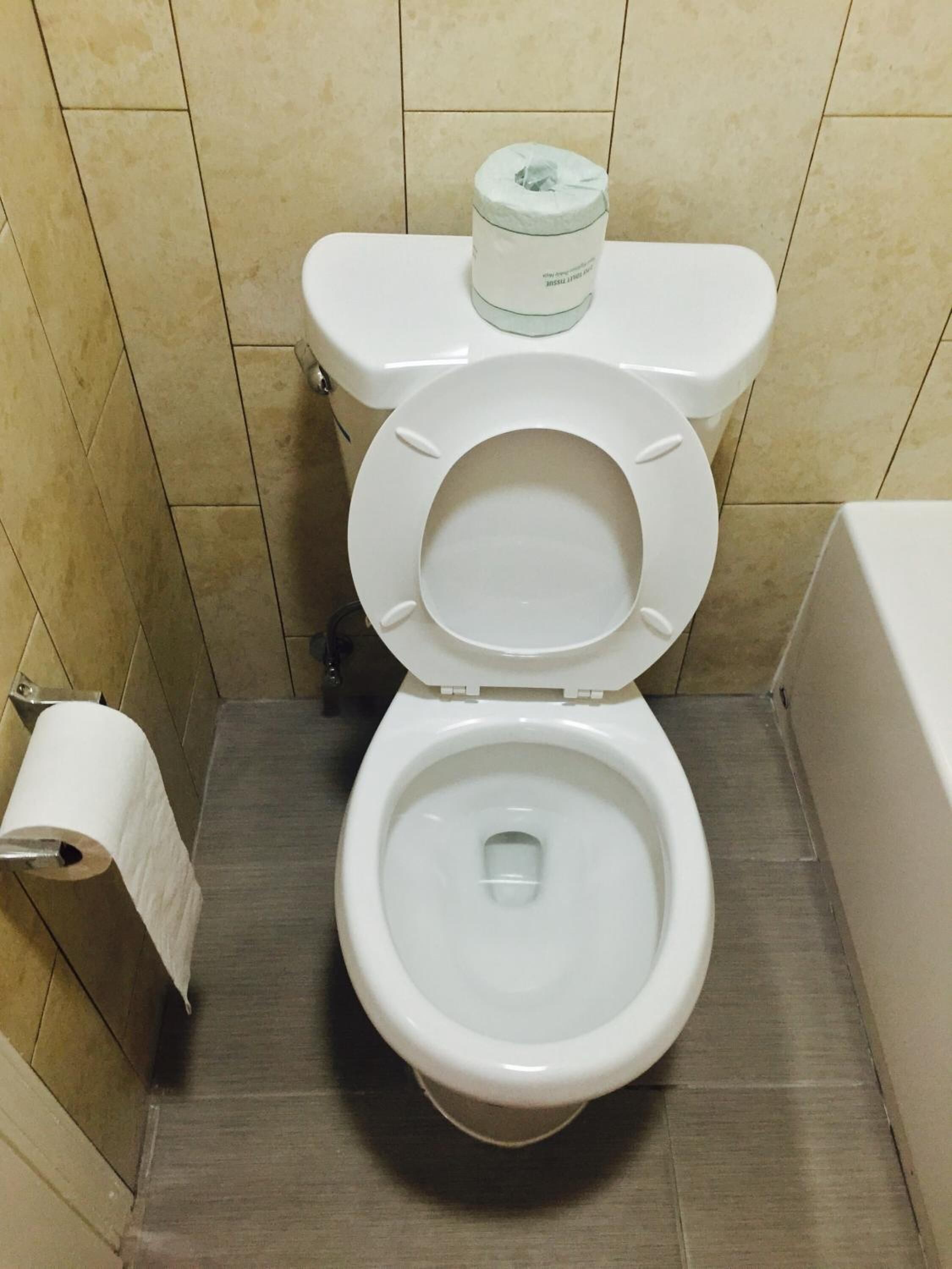 Un inodoro blanco con la tapa levantada, un rollo de papel higiénico a la izquierda y un cepillo de limpieza en el suelo.