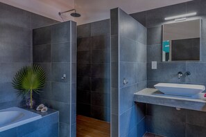 Combined shower/bathtub, hair dryer, towels, soap