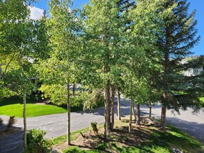 A row of trees along a driveway with a grassy area in the background. - Snowcreek Resort Vacation Rental 908 (Mammoth Lakes)