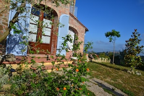 Dettaglio esterni