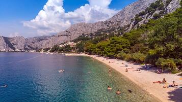 Camastros y toallas de playa