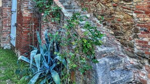 Un mur de pierres avec une partie en briques, un escalier en bois et quelques plantes.