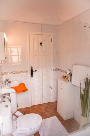 Combined shower/bathtub, hair dryer, bathrobes, bidet