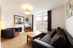 TV, fireplace, DVD player, books