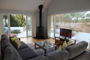 Smart TV, fireplace, video library, stereo