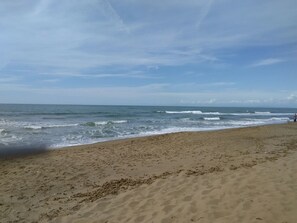 Playa en los alrededores 