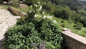 Un sendero de piedra conduce a un jardín con flores blancas y follaje verde, rodeado por un muro de piedra y una colina con árboles y edificios al fondo.