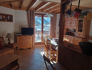 TV, DVD player, books, video library