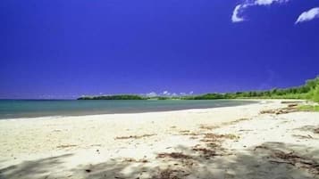Pantai berhampiran