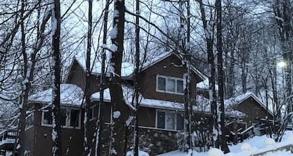 Lux Cabin w/ hot tub, playground, game room, bb court,walking trail, resort pool