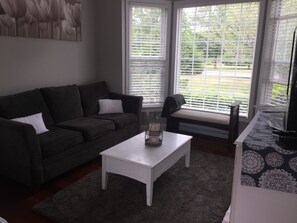 Älytelevisio, takka, kirjoja, videokirjasto