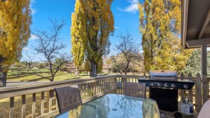 Une terrasse extérieure avec une table en verre, un barbecue et une vue sur les arbres et un paysage lointain.