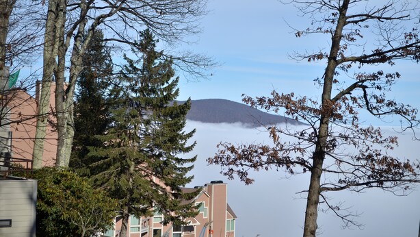 A residential area with a mountain in the background, surrounded by trees and buildings.