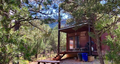 Modern Cabin In The Woods