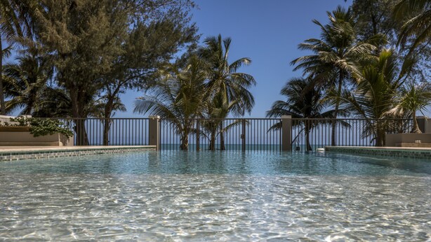 Una piscina cristalina rodeada de palmeras y una valla.