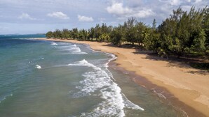 Una playa con aguas transparentes, una orilla arenosa y una hilera de árboles.