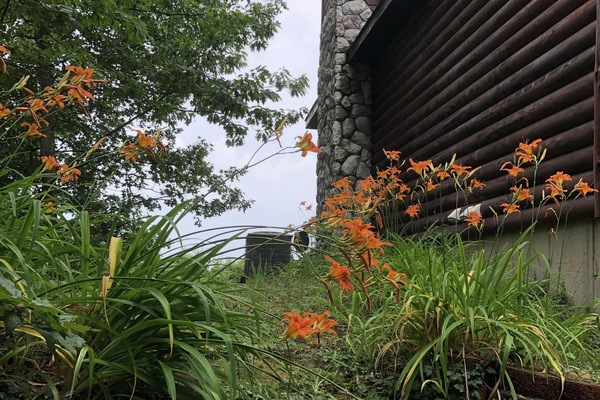 Detalle del exterior