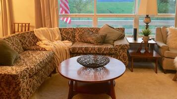 Smart TV, fireplace, DVD player, books