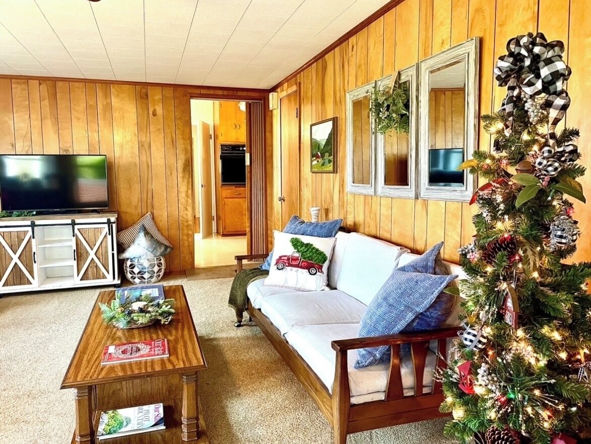 TV connectée, cheminée, lecteur de DVD, livres