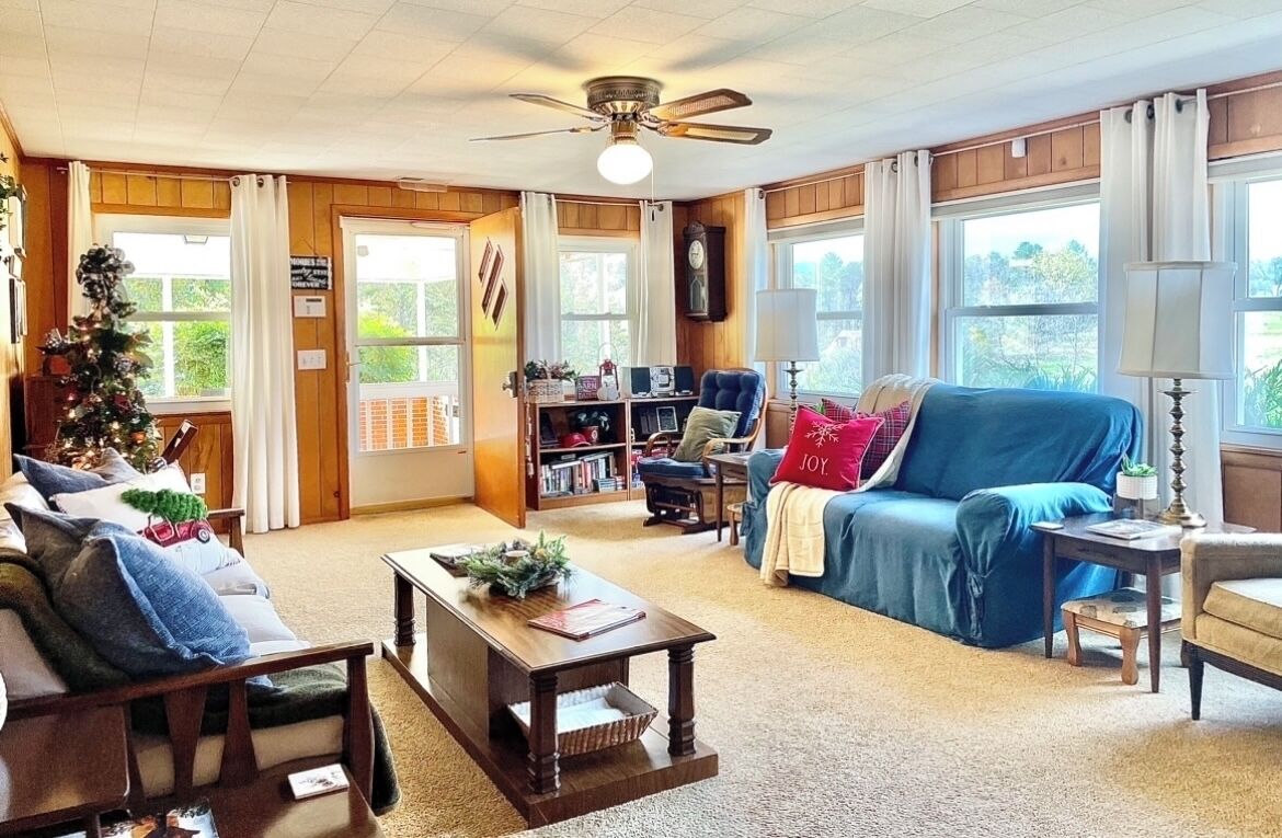 TV connectée, cheminée, lecteur de DVD, livres