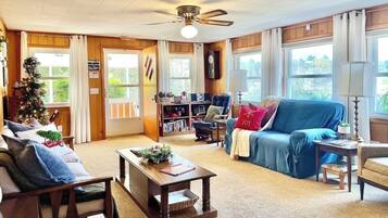 TV connectée, cheminée, lecteur de DVD, livres