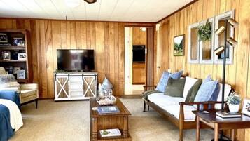 Smart TV, fireplace, DVD player, books