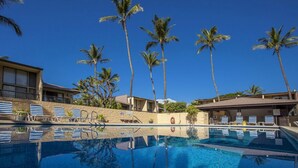 Une piscine d’hôtel avec une eau d’un bleu limpide, des palmiers et des chaises longues.