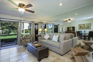 Téléviseur, lecteur de DVD, livres, chaîne audio