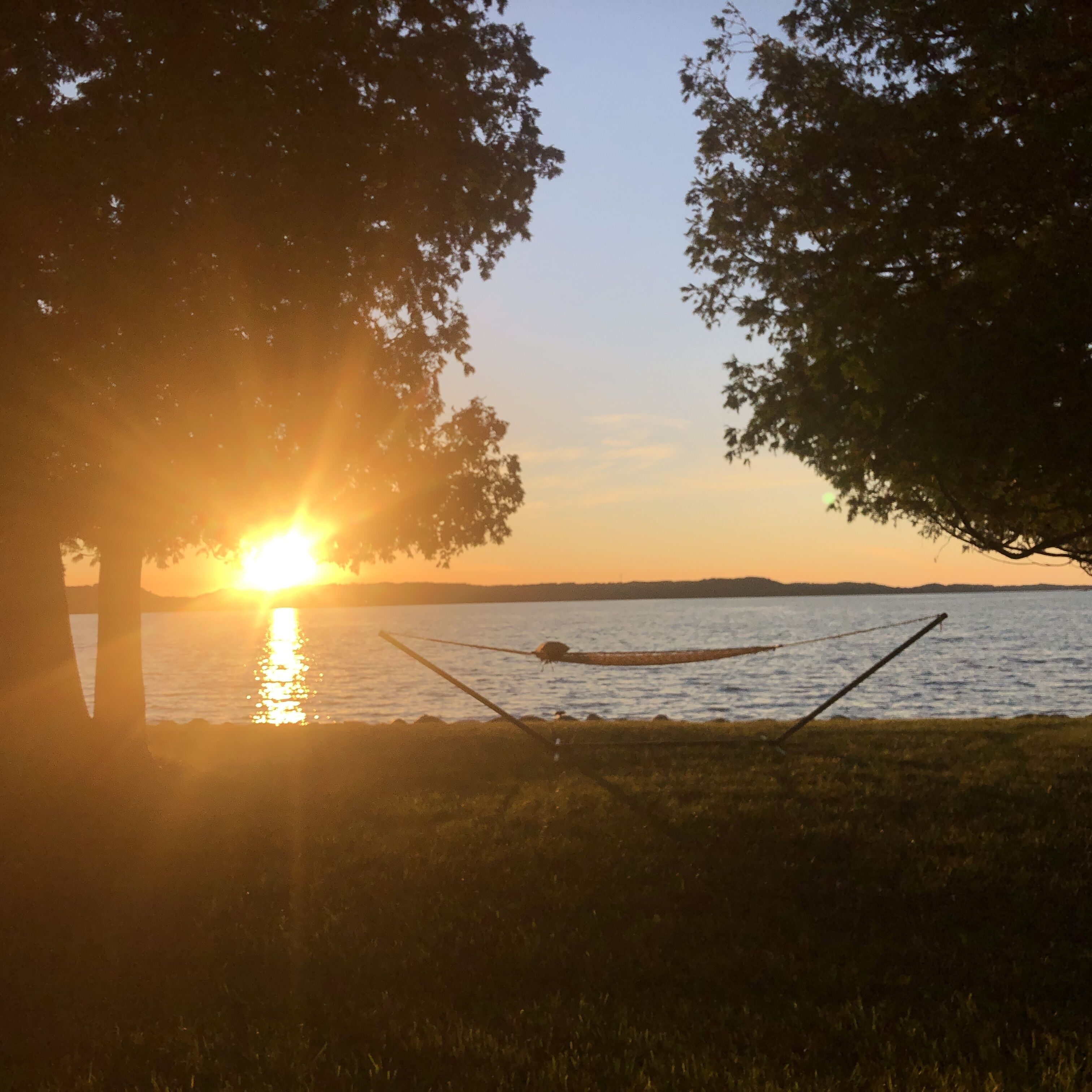 A hammock under a tree by a body of water during sunset.