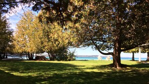 A grassy park area with trees and a view of a lake.
