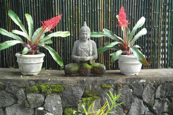 Peaceful garden retreat