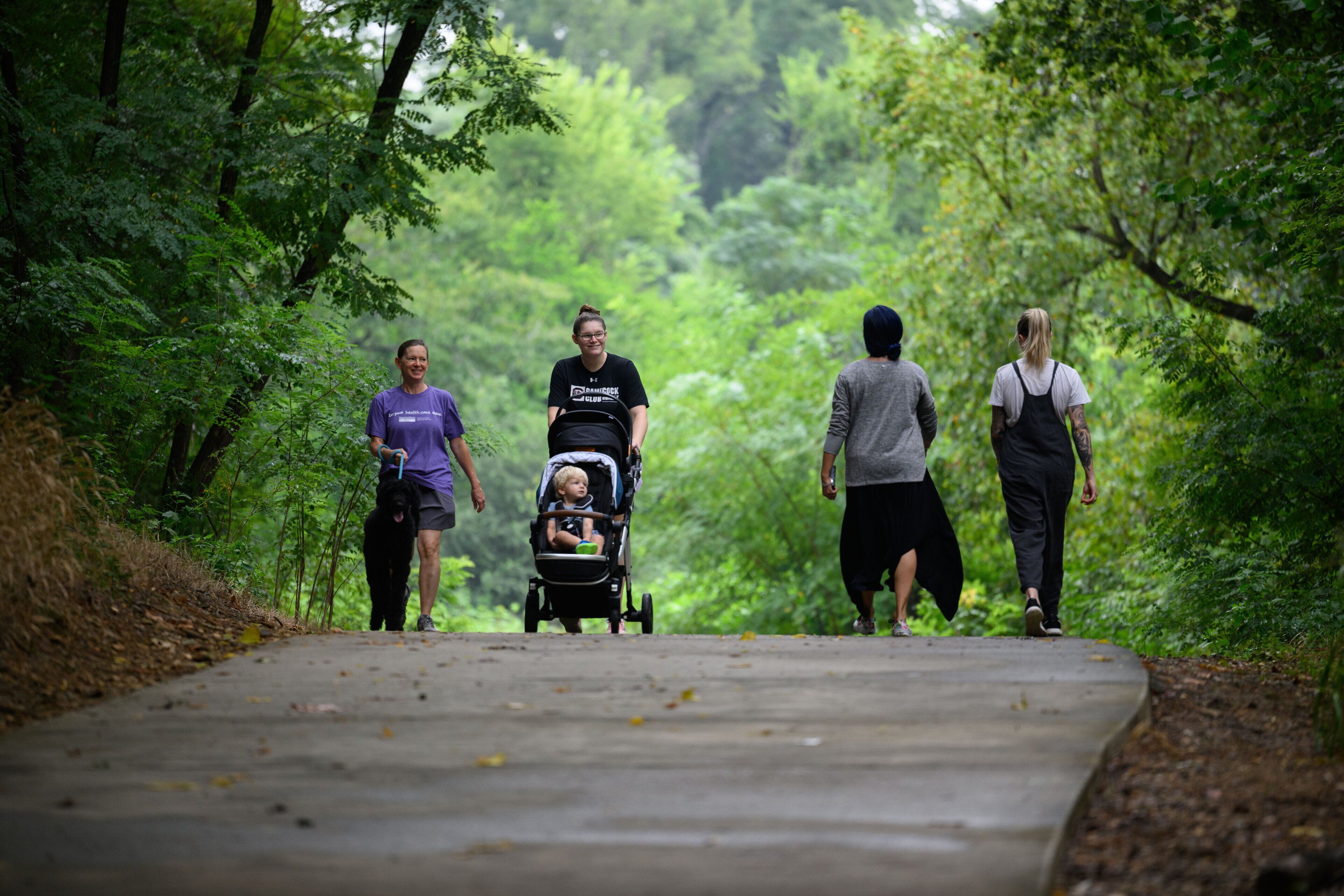A concrete pathway surrounded by dense green foliage.
