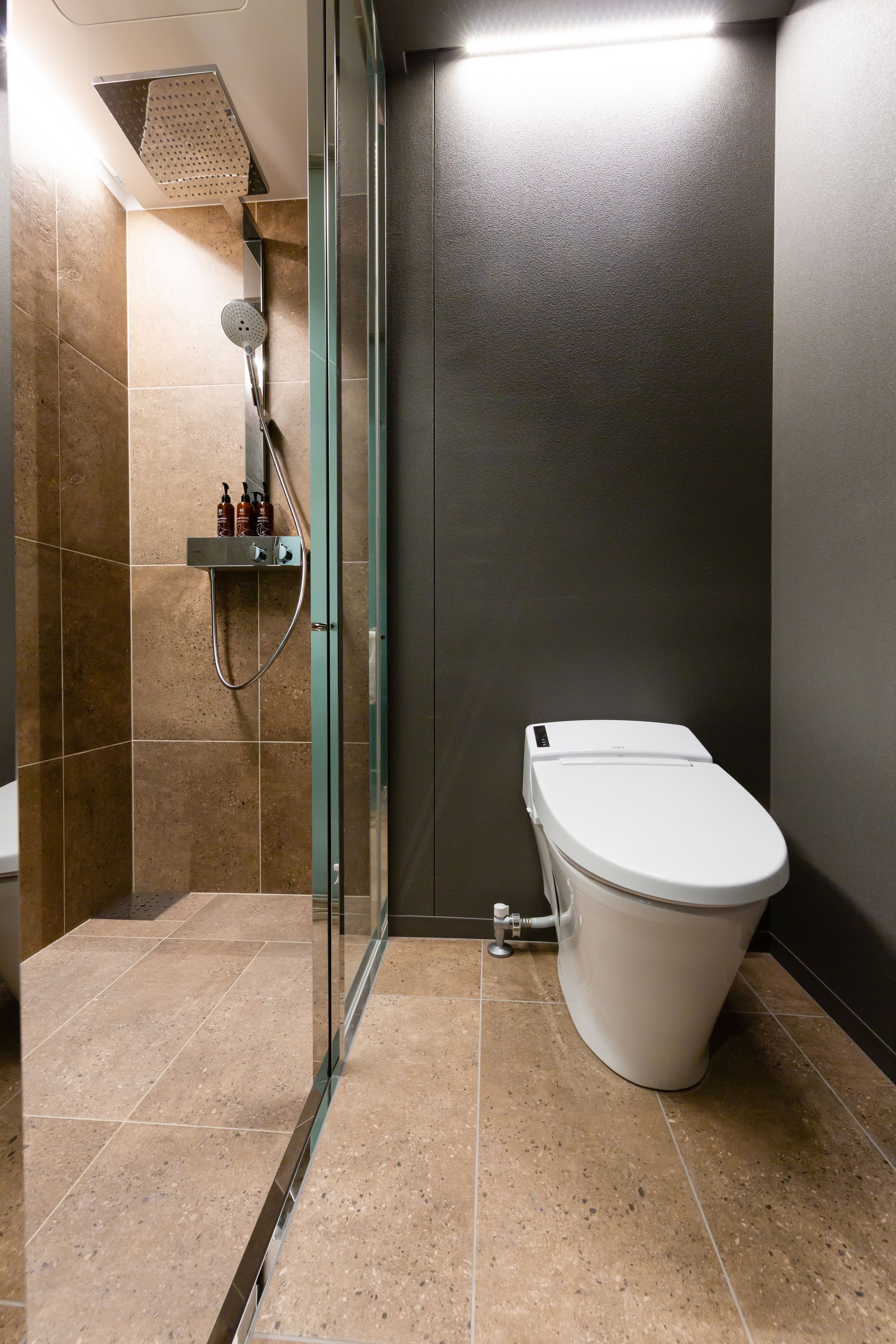 Un baño moderno con ducha envuelta en vidrio, un inodoro y un estante con artículos de aseo.