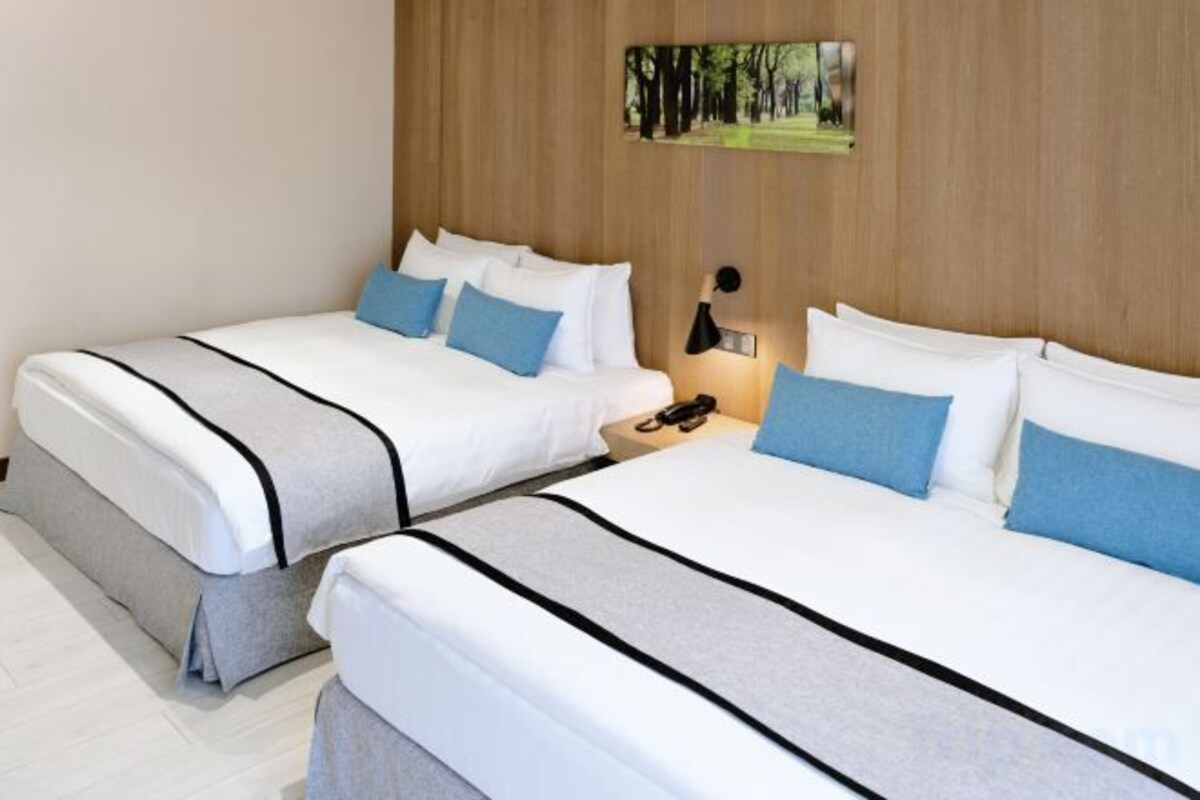 Down comforters, in-room safe, desk, WiFi (free)
