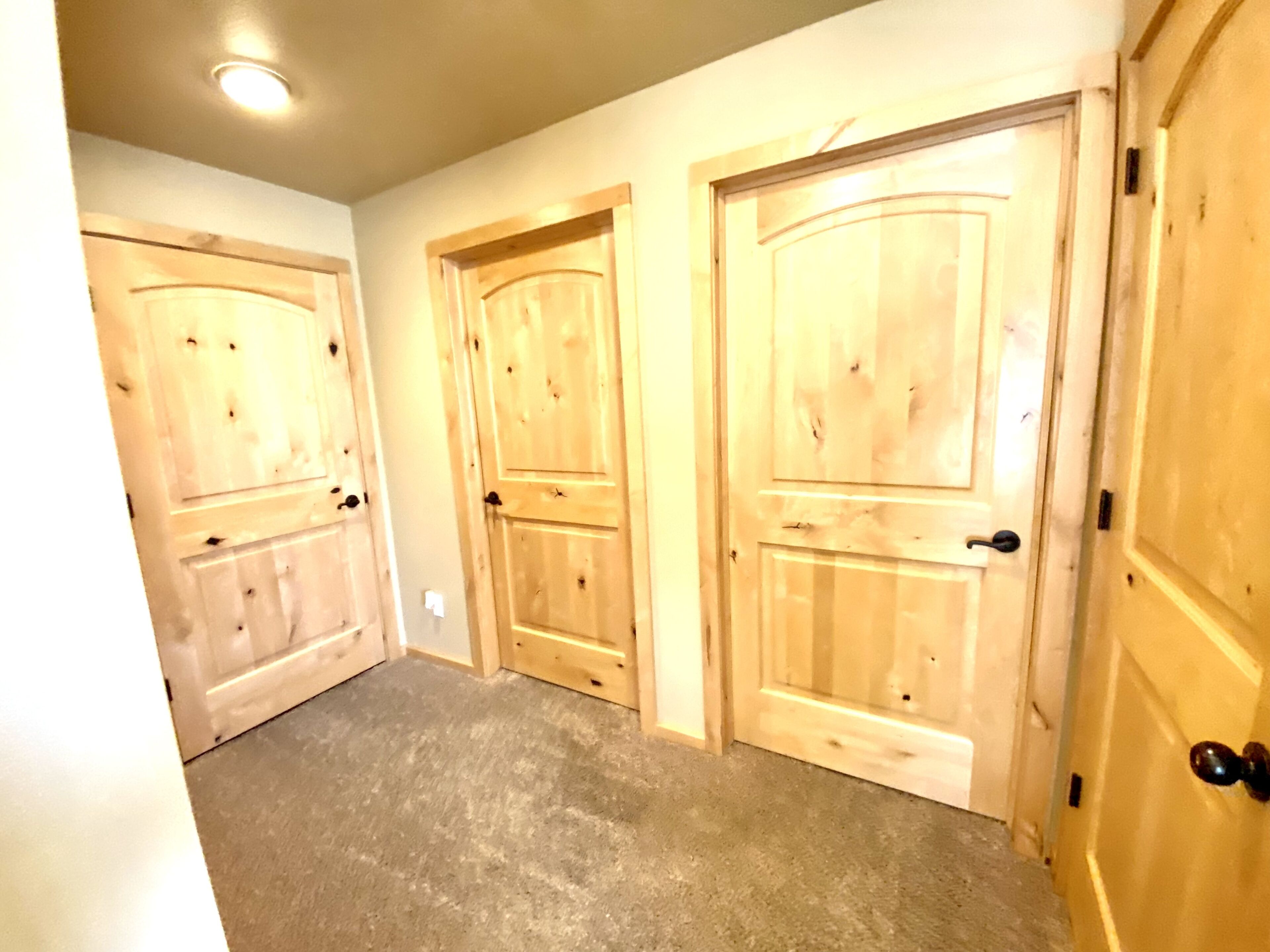 A hallway with three wooden doors, a ceiling light, and a carpeted floor.