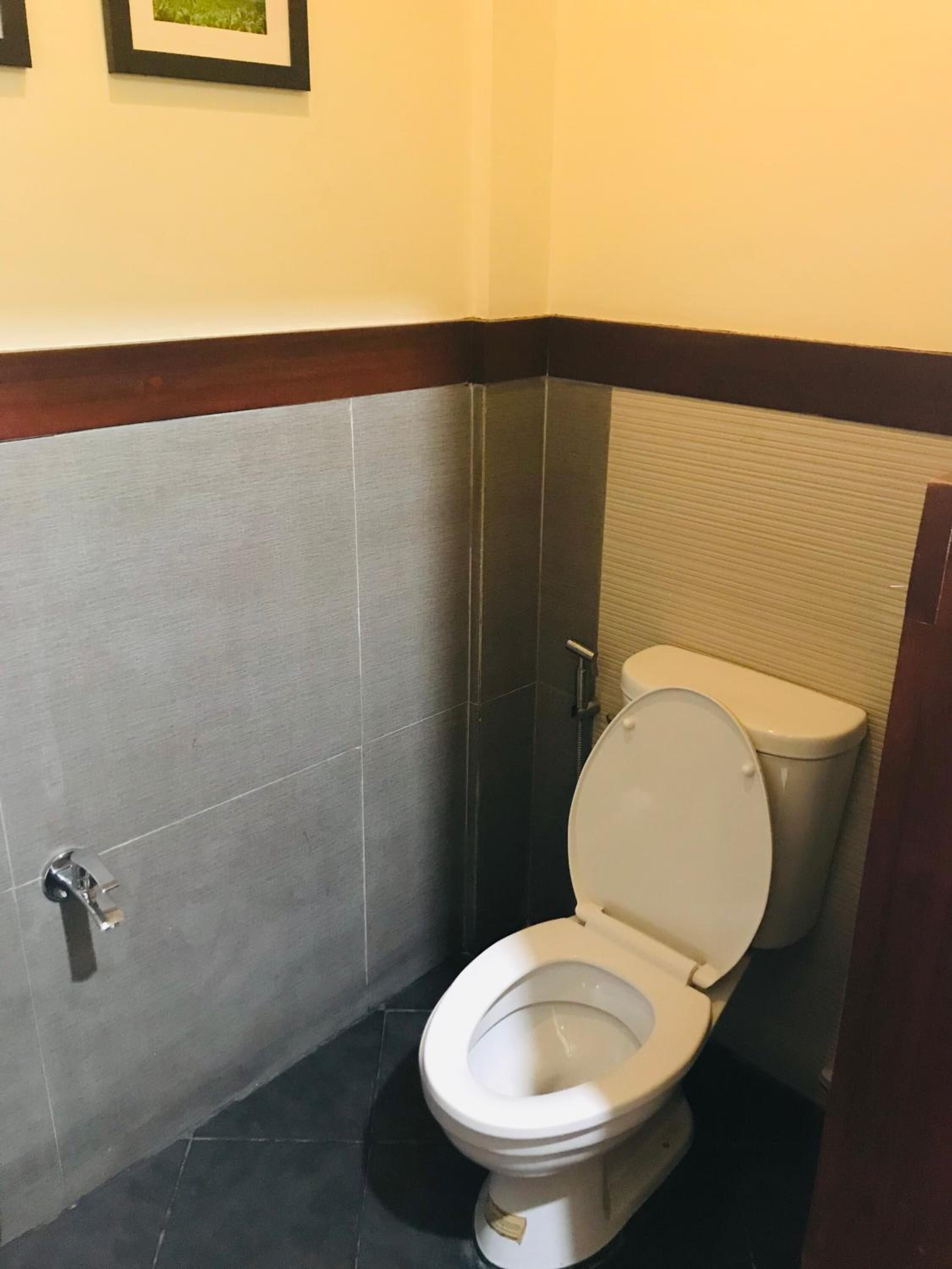 shower, rainfall showerhead, free toiletries, hair dryer