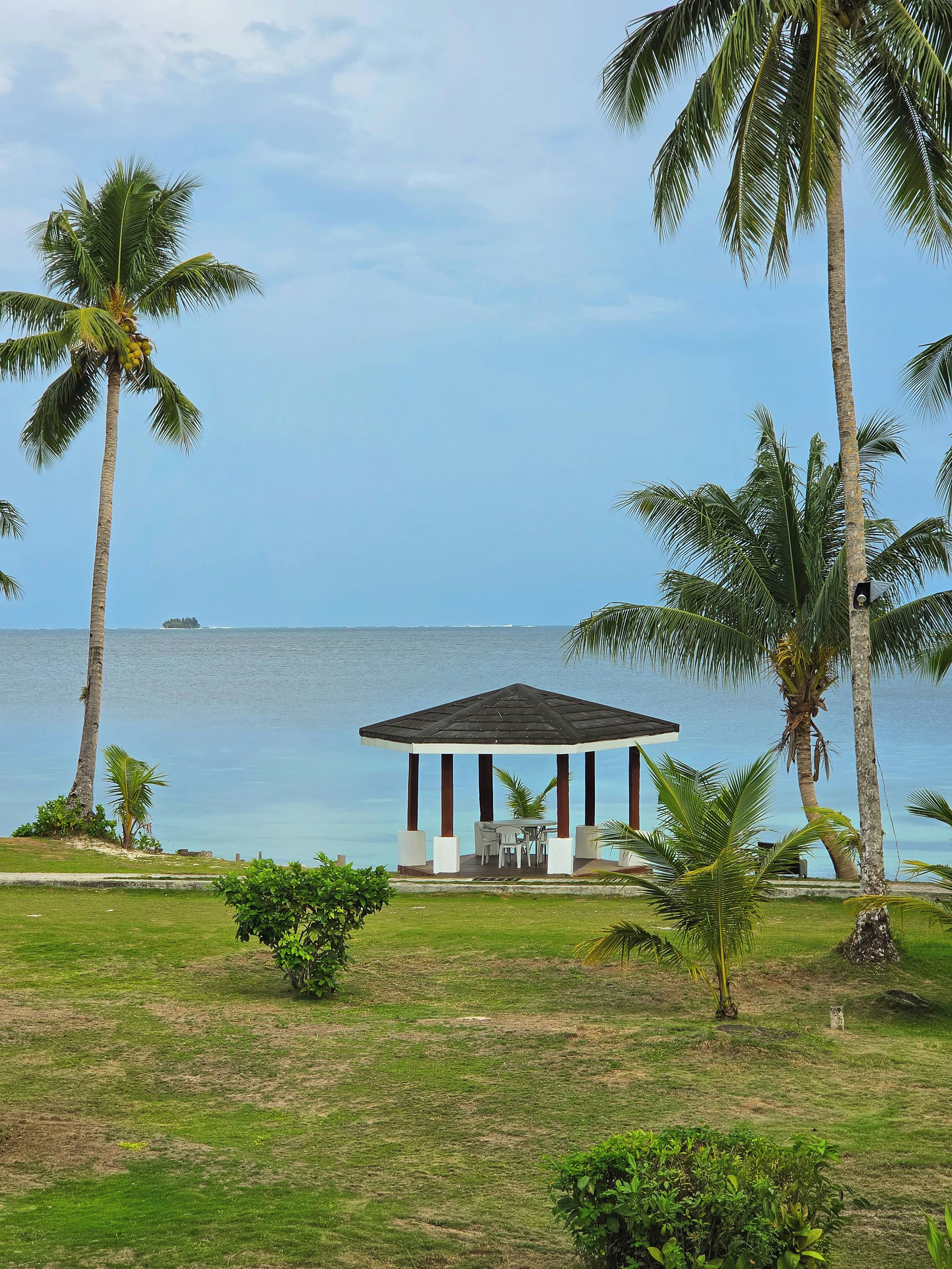 A gazebo with a view of the sea, surrounded by palm trees and a grassy area.