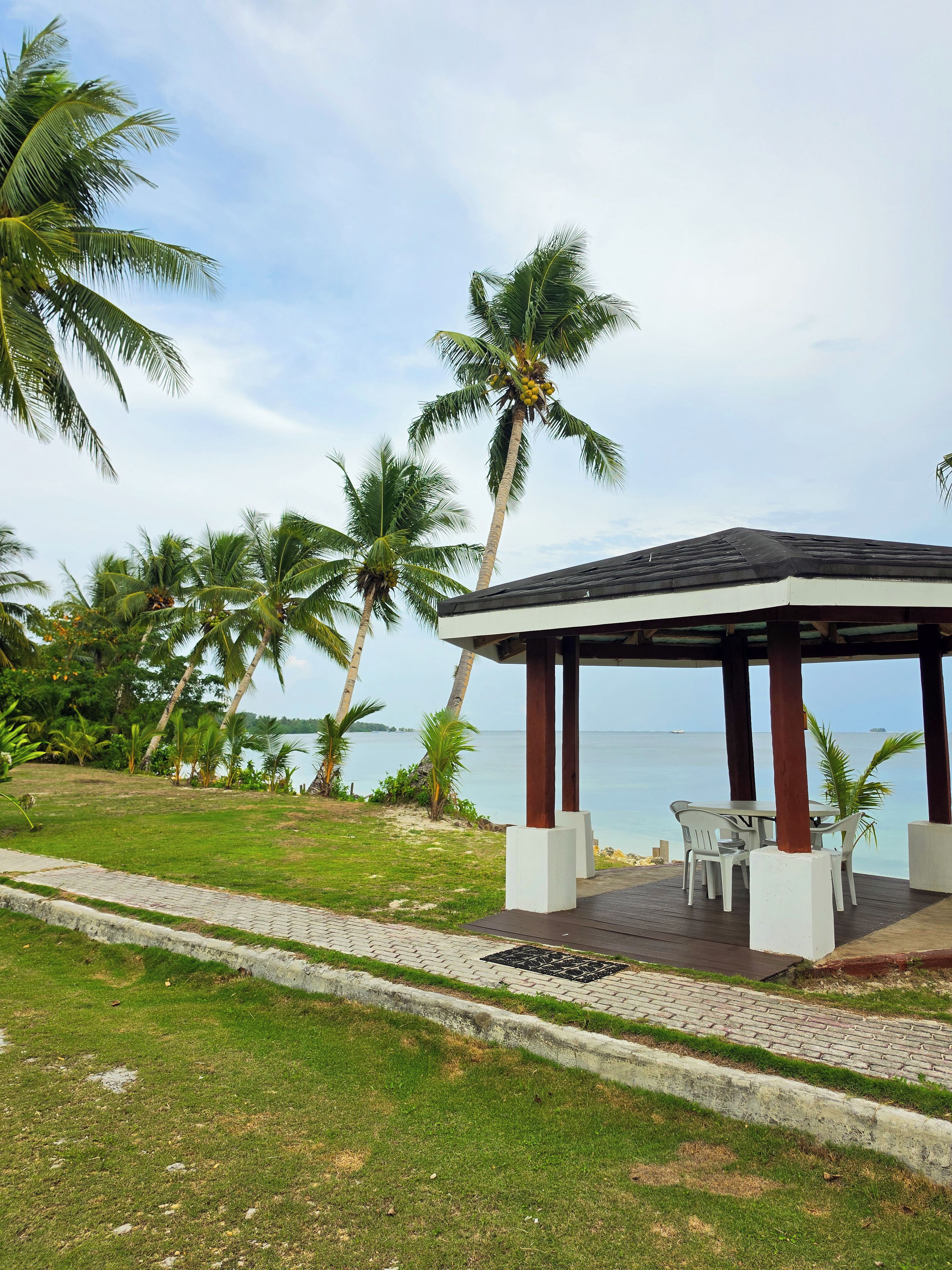 A covered outdoor seating area with a view of the sea, surrounded by palm trees.