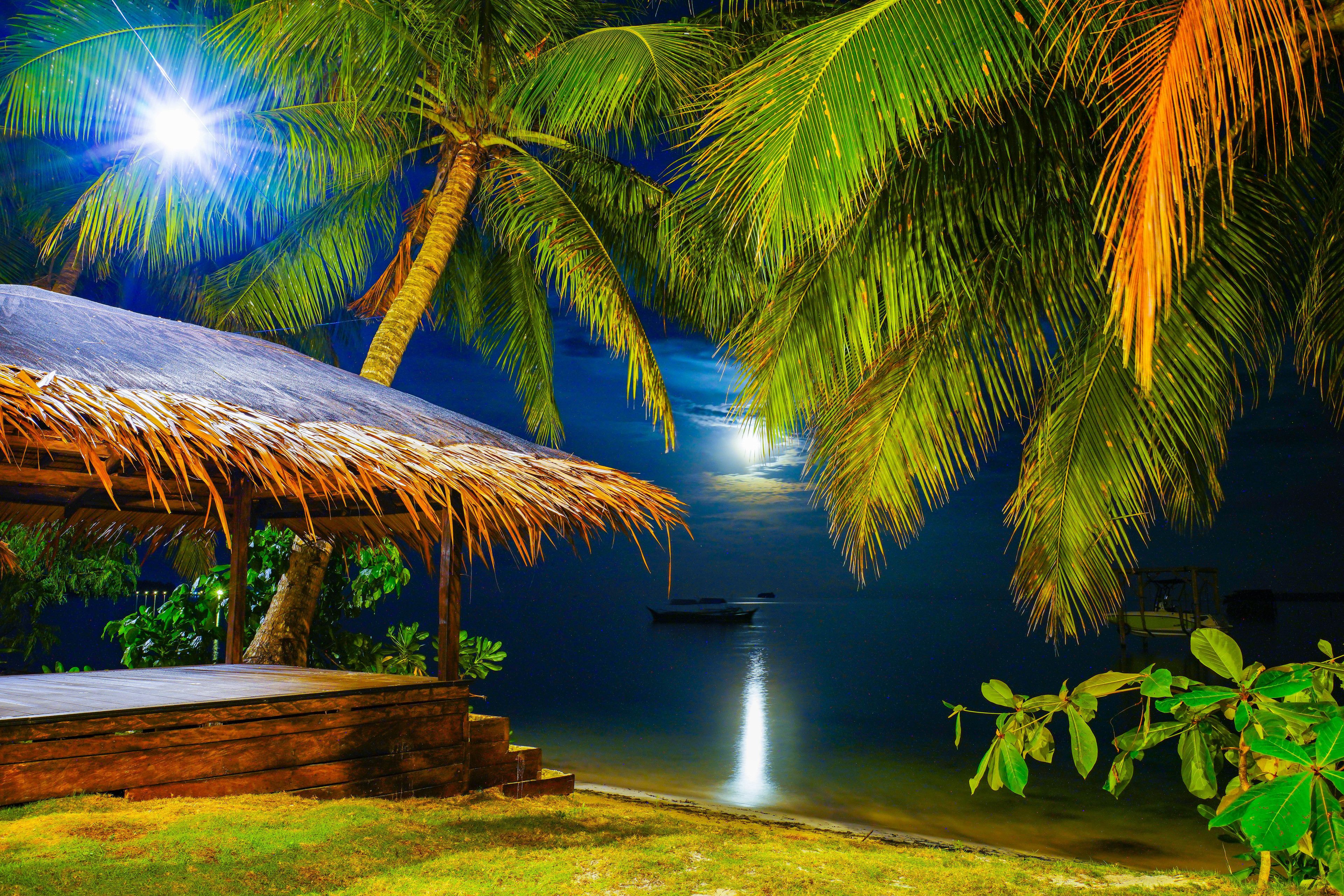 住宿正面 (夜晚)