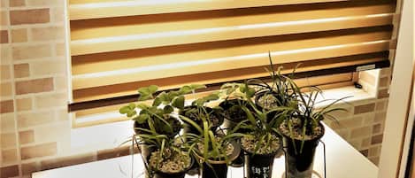 Family Villa, 3 Bedrooms, Non Smoking, Kitchen | Terrace/patio