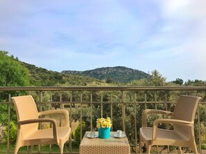 Appartement Familial, 1 chambre, accessible aux personnes à mobilité réduite | Vue depuis le balcon